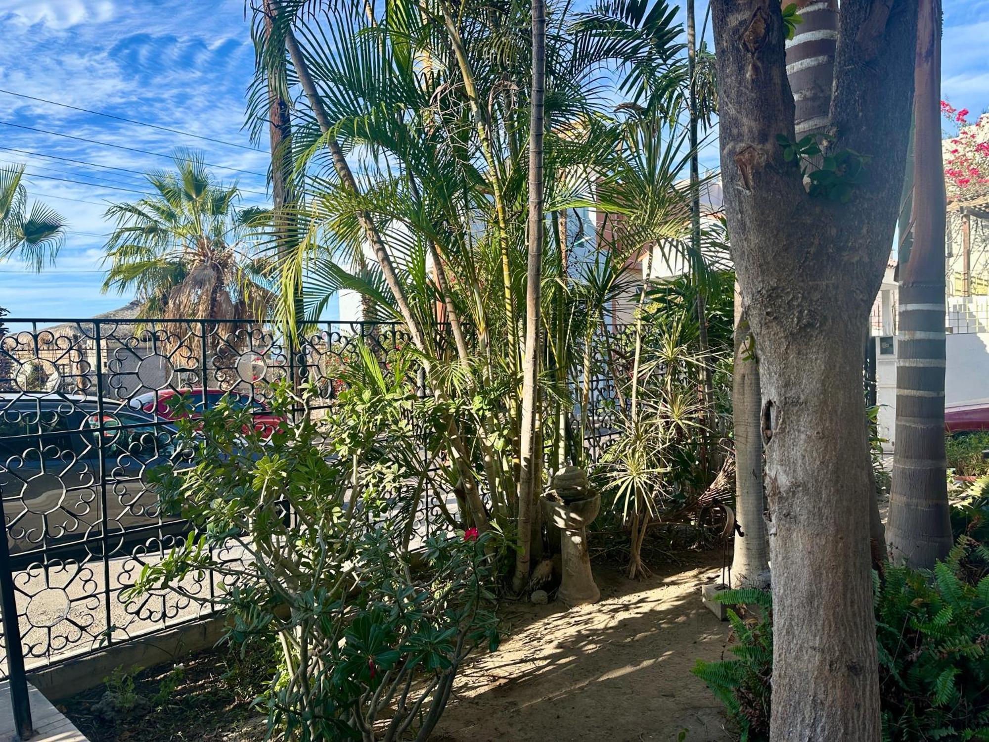 Casa Kismet Tu Destino En La Paz Suite 1 Eksteriør bilde